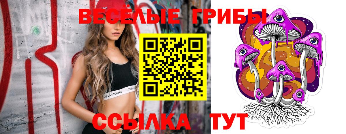 Ленинск-Кузнецкий  хочу   Псилоцибиновые грибы MAGIC MUSHROOMS  Вход с VPN  Галлюциногенные грибы GOLDEN TEACHER 