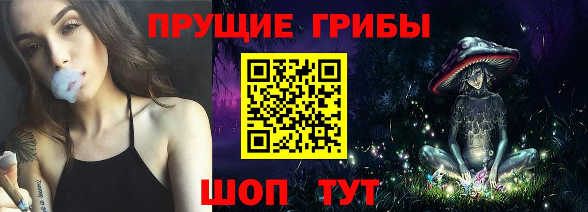 Галлюциногенные грибы Psilocybine cubensis Ленинск-Кузнецкий
